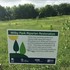 Milby Park Riparian Restoration Project icon