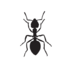 Ant Game of Thrones (Nest Box Observations) icon