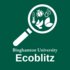 2022 EcoBlitz BU Course Collaboration icon