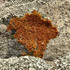 Lichens of Southeast Asia icon