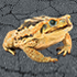Amphibians as roadkill in Brazil icon