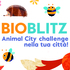 Vicenza Animal City Challange icon