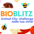 Animal City Challange icon