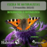 X Escola de Naturalistas - Entomoloxía icon