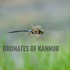 Odonates  of Kannur icon