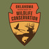 2022 Wildlife Youth Camp icon