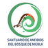 Santuario de Anfibios del Bosque de Niebla, Cuetzalan icon
