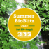 Summer 2022 BioBlitz icon