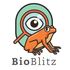Bioblitz Yopal 2022 icon