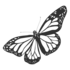 Insect Collection Summer 2022 icon
