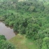 Biodiversité des forêts des communes de Adjohoun et Bonou dans la vallée de l&#39;Ouémé icon
