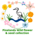 Pinelands verges, parks &amp; river flowers icon