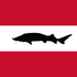 Acipenseriformes of Austria icon