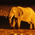 Etosha National Park icon