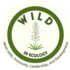 NMSU WILD in Ecology Bio Blitz 22-23 icon