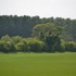 Biodiversity Melton Fields &amp; Long Plantation Woods icon