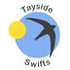 Tayside Swifts icon