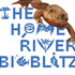 Home River Bioblitz 2022_Loa_Chile icon