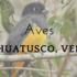 Aves Huatusco icon