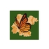 RG3M - Red de Monitoreo de la Mariposa Monarca icon