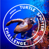 SpeSeas Turtle Spotter icon