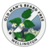 &quot;OMB Free&quot; Wellington Reserves icon