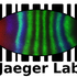 Jaeger lab biodiversity hunt icon