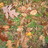 Leaf Litter Life New England USA icon