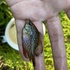 Little River Tributary Fish icon