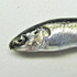 Fishes GSL Poissons icon