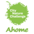 City Nature Challenge 2023: Ahome, Sinaloa icon