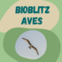 BioBlitz Aves - Parque das Nações, Lisboa 2022 icon