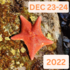 Ocean Sanctuaries &quot;King Tide&quot; Bioblitz Dec 2022 icon