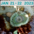 Ocean Sanctuaries &quot;King Tide&quot; Bioblitz Jan 2023 icon
