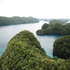 Biodiversity in Palau icon