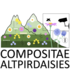 COMPOSITAE | ATLPIRDAISIES icon