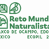 Reto Mundial Naturalista 2023: Apaxco de Ocampo y Tequixquiac icon