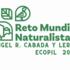 Reto Mundial Naturalista 2023: Angel R. Cabada, Veracruz icon