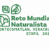 Reto Mundial Naturalista 2023: Zontecomatlan ,Veracruz icon