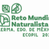 Reto Mundial Naturalista 2023: Lerma, Edo. de México icon