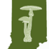 Indiana Fungi 2023 icon