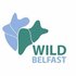 Wild Belfast icon