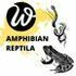 Amphibians and Reptiles of Vietnam - Wanee&#39;s Project icon
