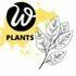 Plants of Vietnam - Wanee&#39;s Project icon