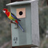 Darebin Parklands Nest Box Monitoring 2023 icon