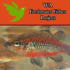 WA Freshwater Fishes Project icon