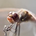 Hubbert Lake Preserve icon