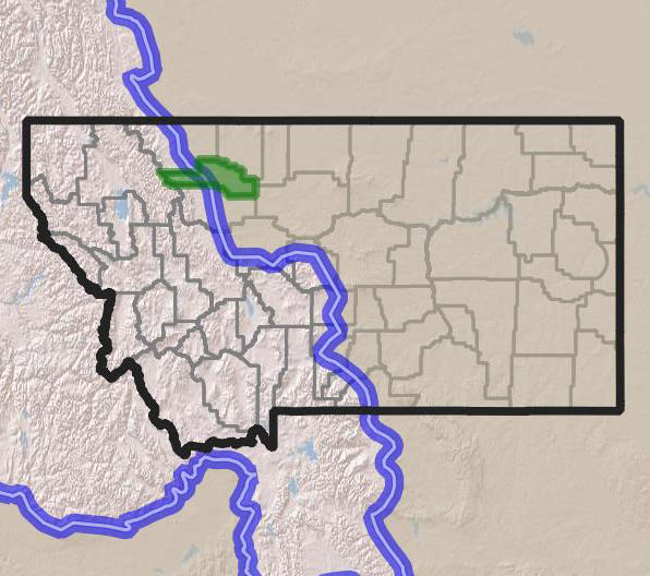 2023 Summer NRMBC Pondera County, MT · iNaturalist NZ
