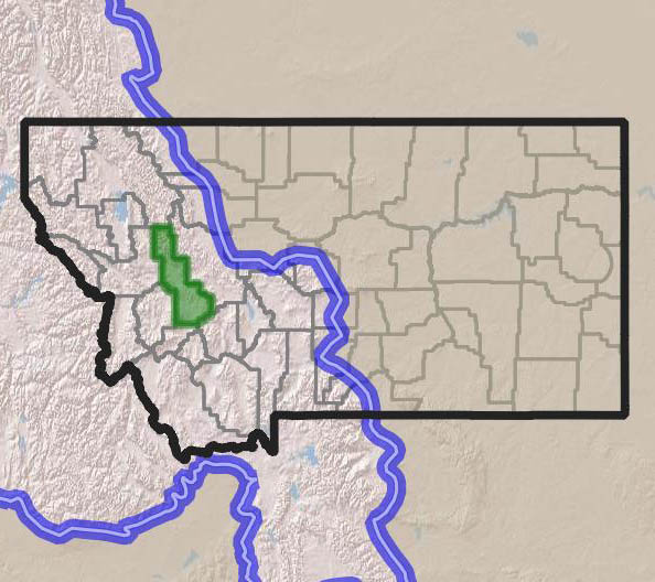 2023 Summer NRMBC Powell County, MT · BioDiversity4All