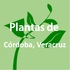 Plantas de Córdoba, Veracruz icon